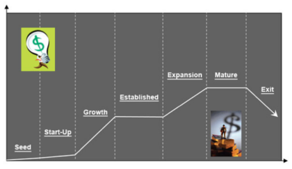 Business Cycle